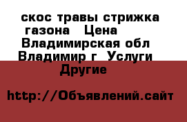 скос травы стрижка газона › Цена ­ 300 - Владимирская обл., Владимир г. Услуги » Другие   